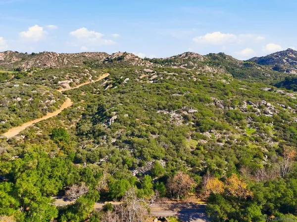 a view of a lush green field with mountains in the background