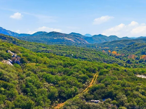 a view of a mountain range with lush green forest