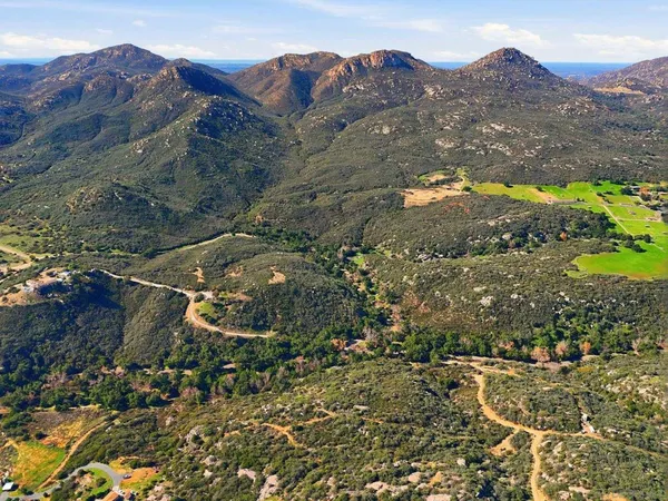 a view of a lush green field with mountains in the background
