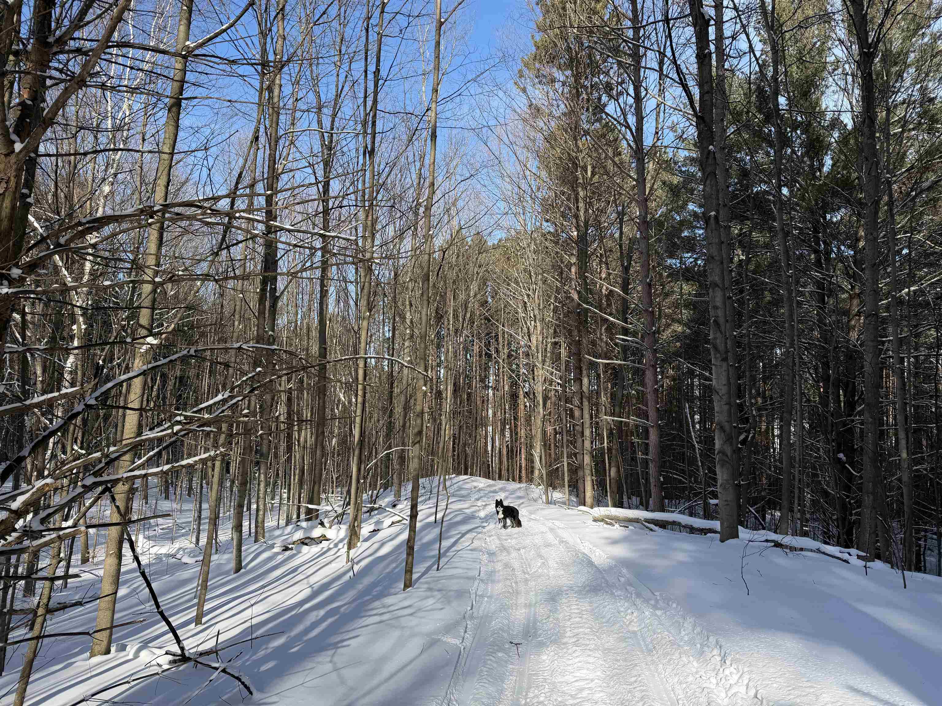 North Christianson Road Northport, MI 49670 - Photo 4 of 15