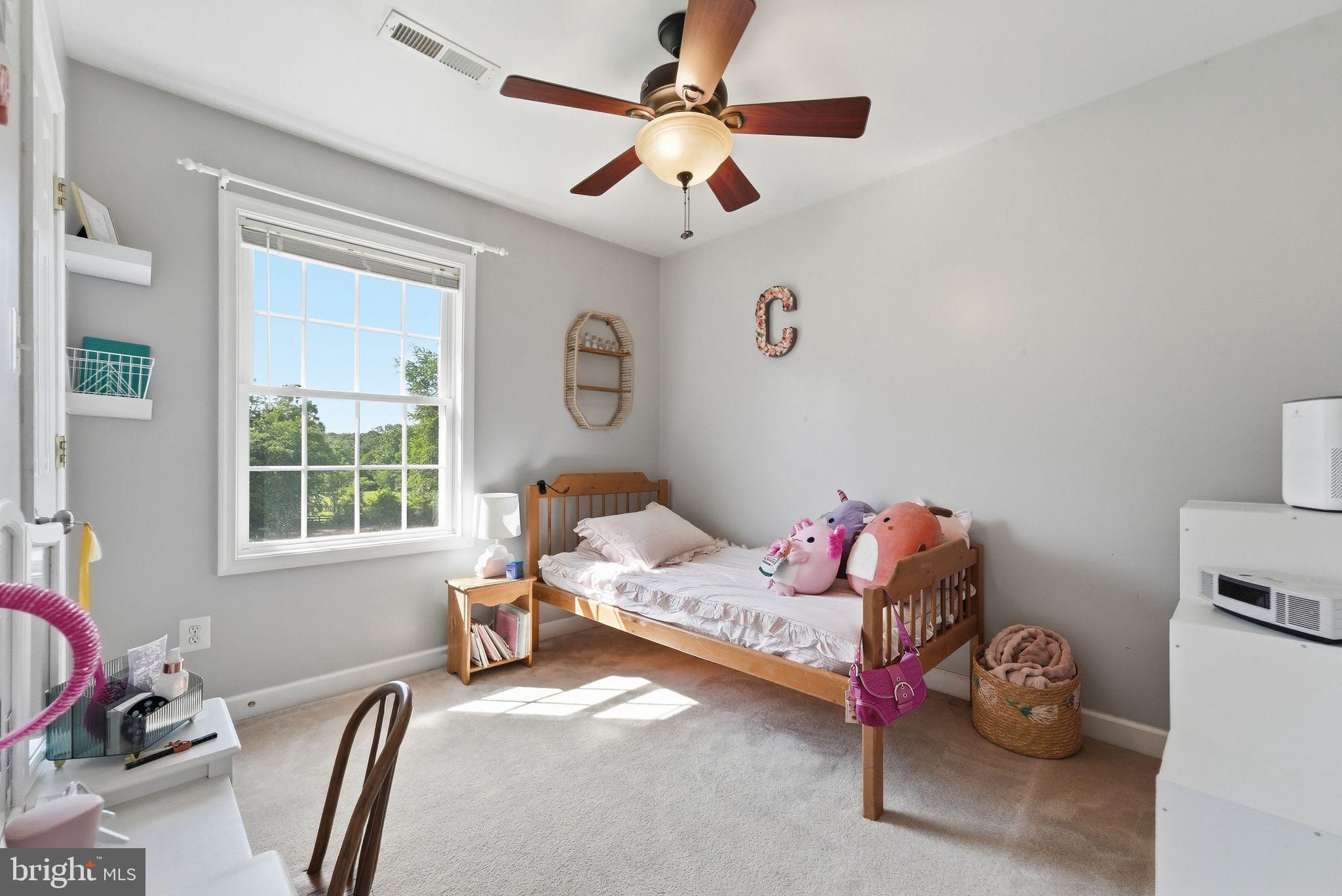 18198 Springs Road Jeffersonton, VA 22724 - Photo 47 of 80 Bedroom # 4