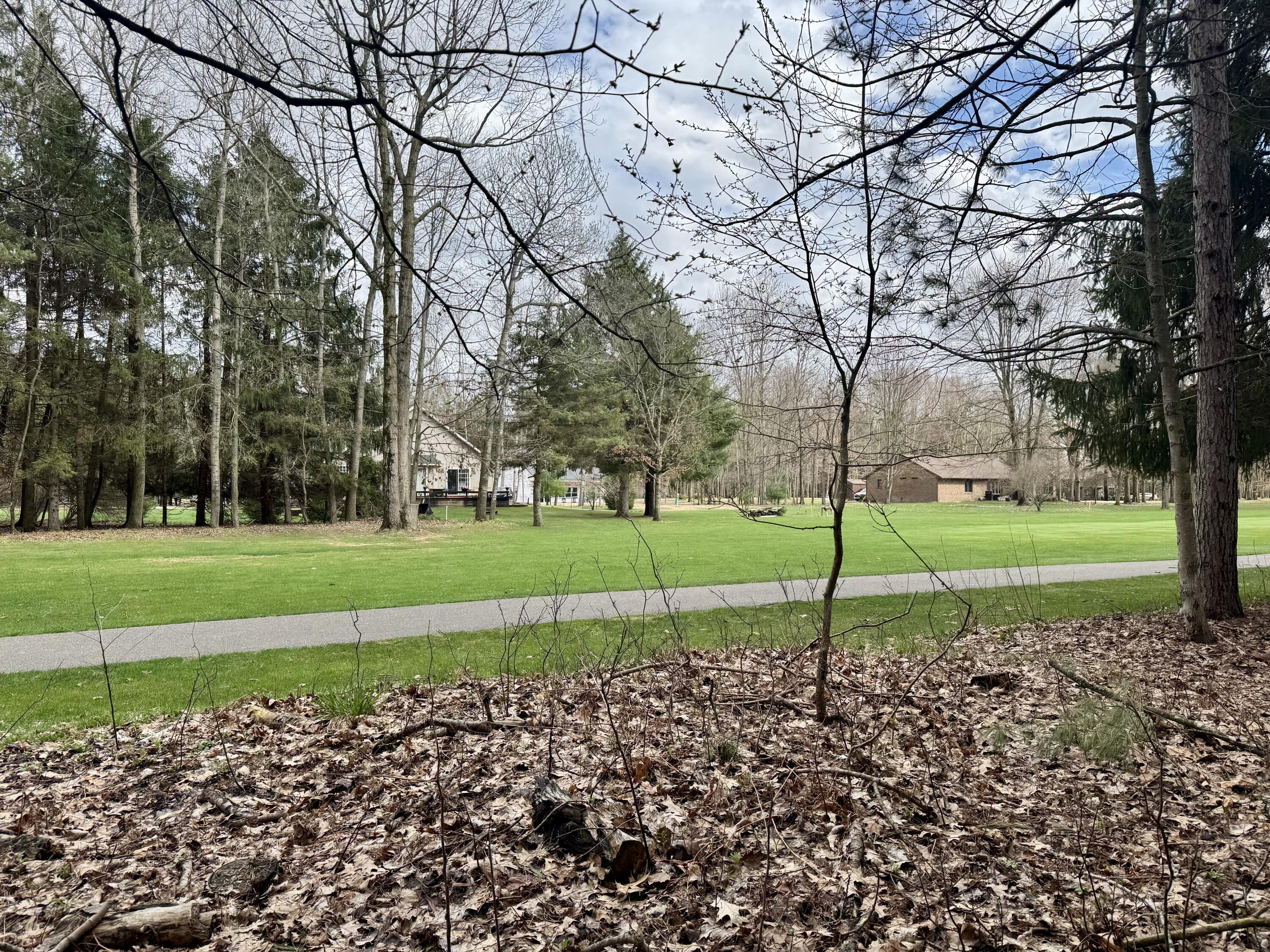 6798 Beechnut Ridge Canadian Lakes, MI 49346 - Photo 3 of 11 IMG_0351