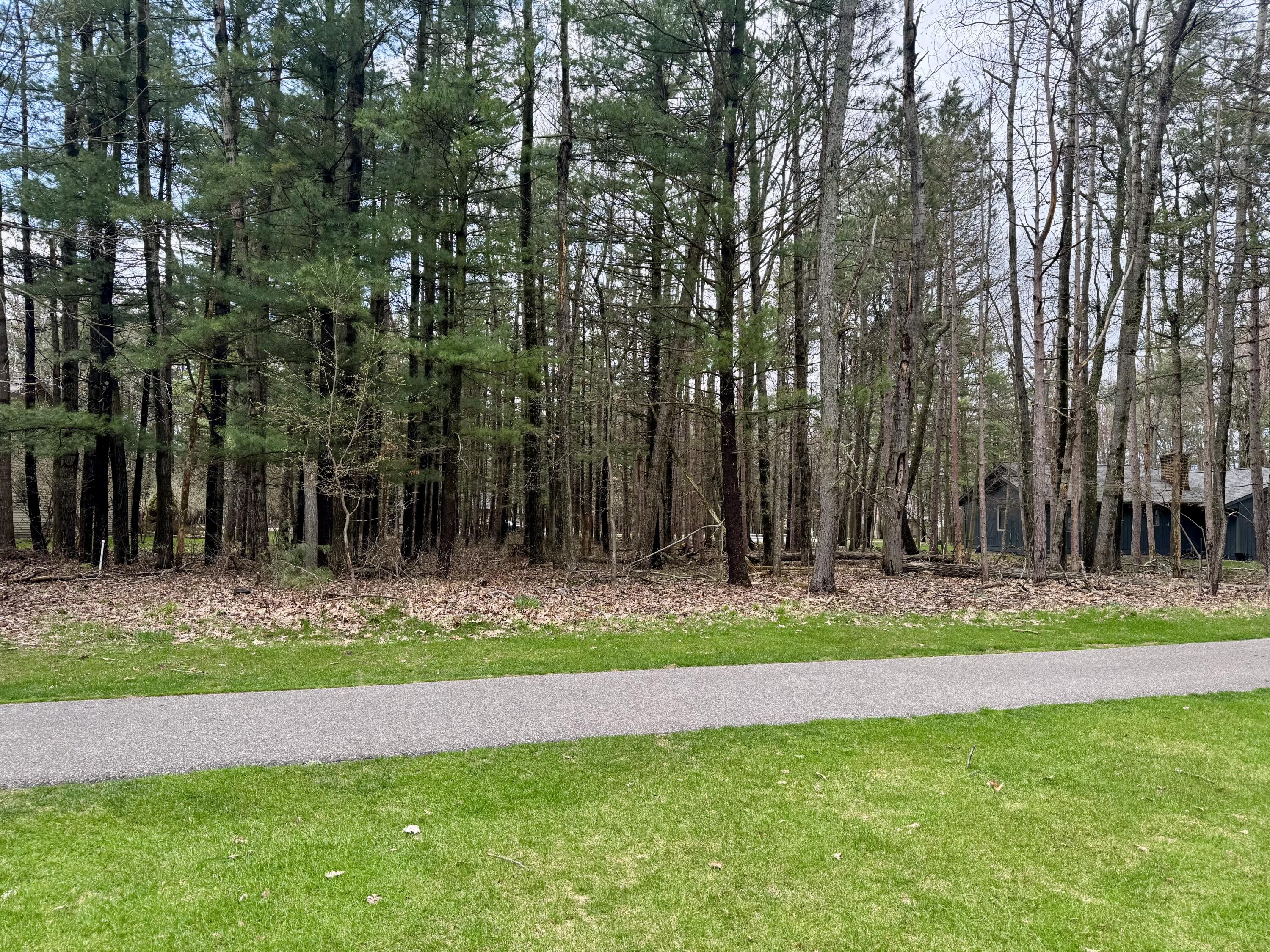 6798 Beechnut Ridge Canadian Lakes, MI 49346 - Photo 4 of 11 IMG_0354