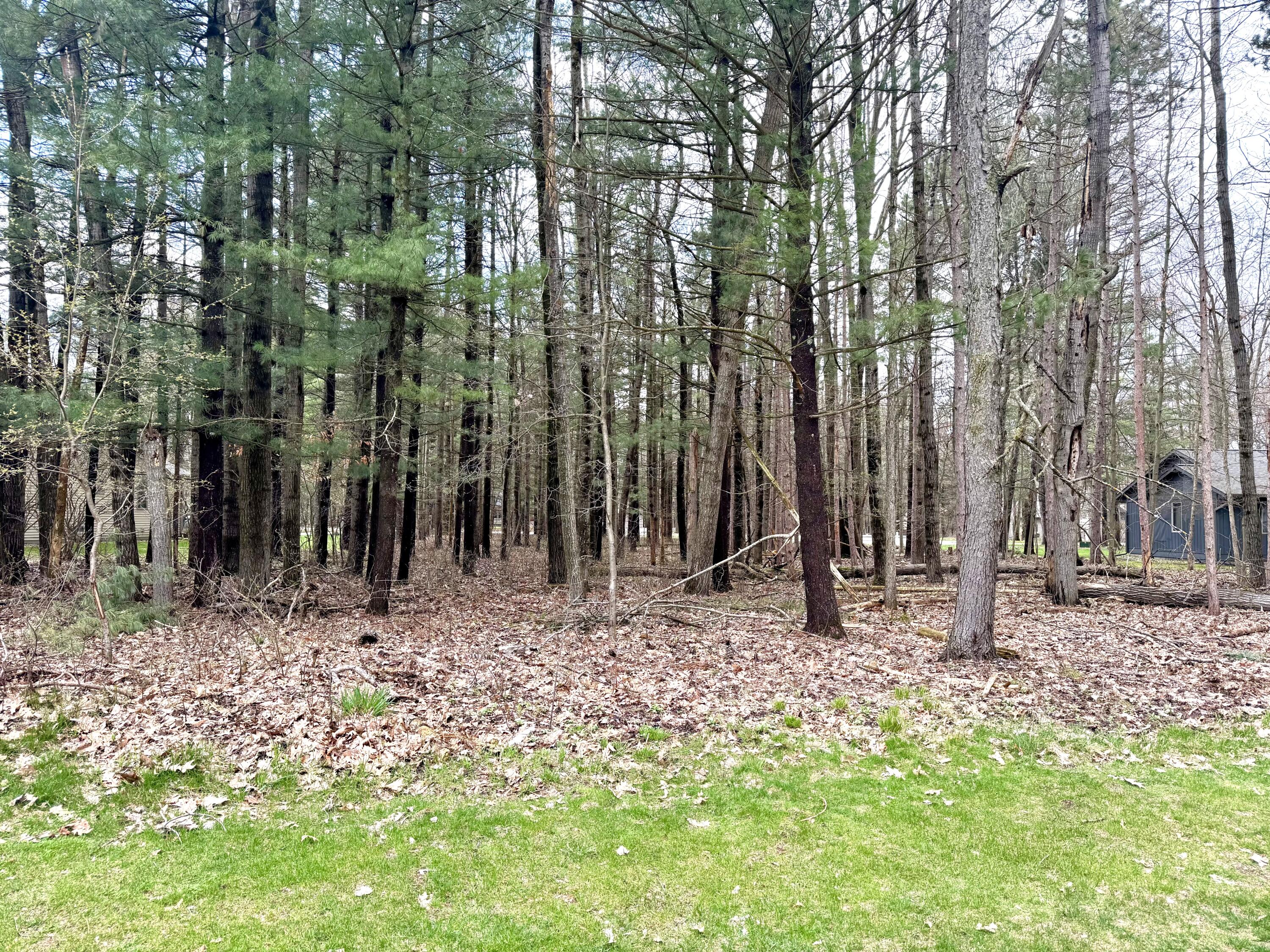 6798 Beechnut Ridge Canadian Lakes, MI 49346 - Photo 5 of 11 IMG_0353