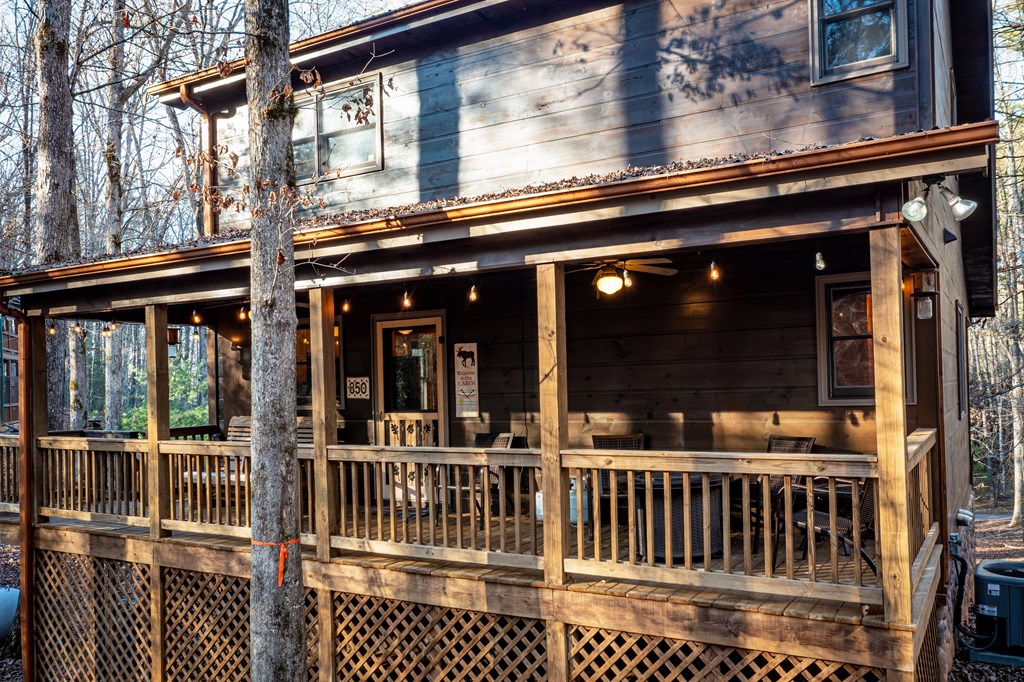 850 Mountain Lake Circle Blue Ridge, GA 30513 - Photo 17 of 66