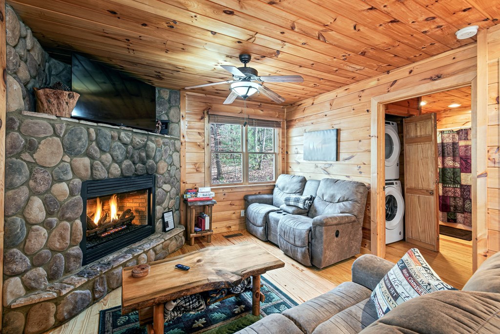 850 Mountain Lake Circle Blue Ridge, GA 30513 - Photo 20 of 66