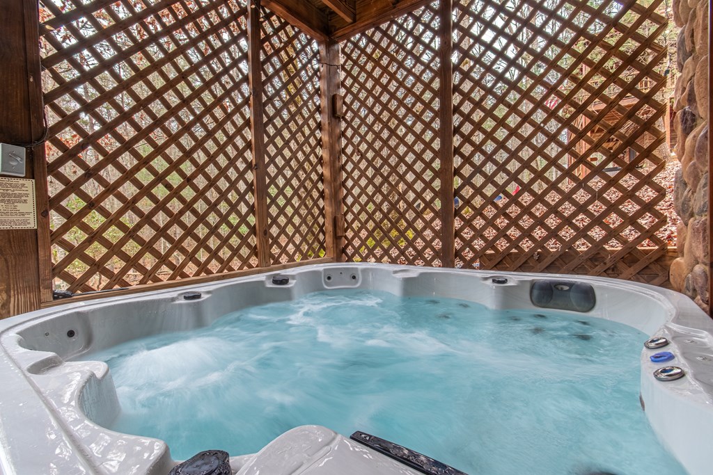 850 Mountain Lake Circle Blue Ridge, GA 30513 - Photo 2 of 66