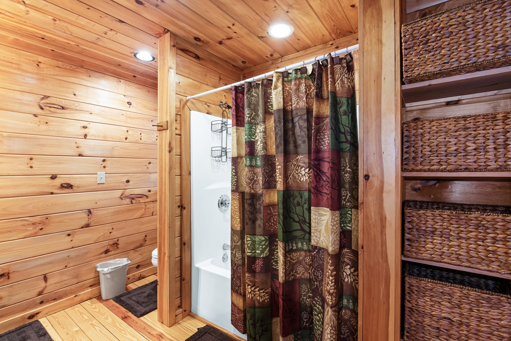 850 Mountain Lake Circle Blue Ridge, GA 30513 - Photo 21 of 66