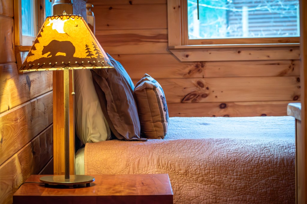 850 Mountain Lake Circle Blue Ridge, GA 30513 - Photo 29 of 66