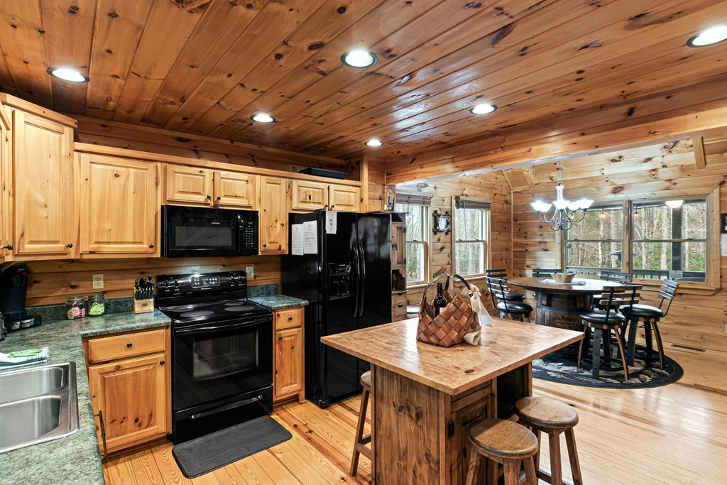 850 Mountain Lake Circle Blue Ridge, GA 30513 - Photo 3 of 66