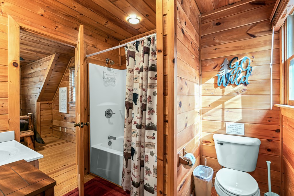 850 Mountain Lake Circle Blue Ridge, GA 30513 - Photo 32 of 66