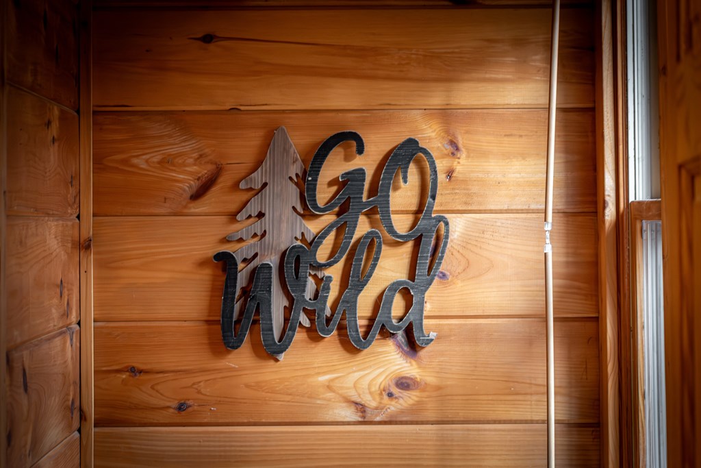 850 Mountain Lake Circle Blue Ridge, GA 30513 - Photo 33 of 66