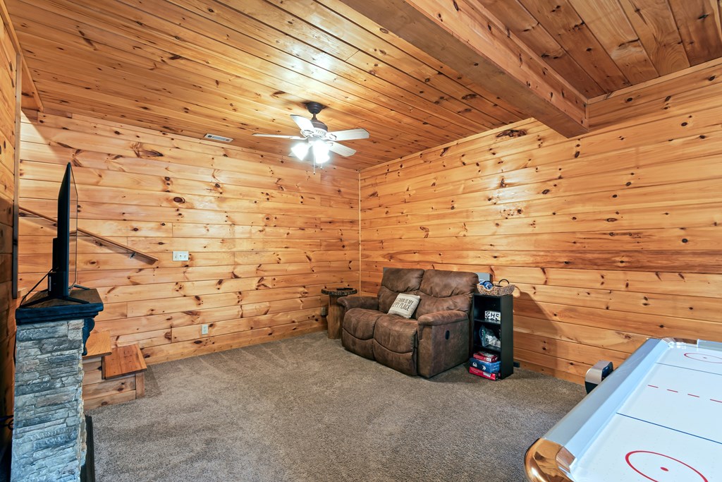 850 Mountain Lake Circle Blue Ridge, GA 30513 - Photo 43 of 66