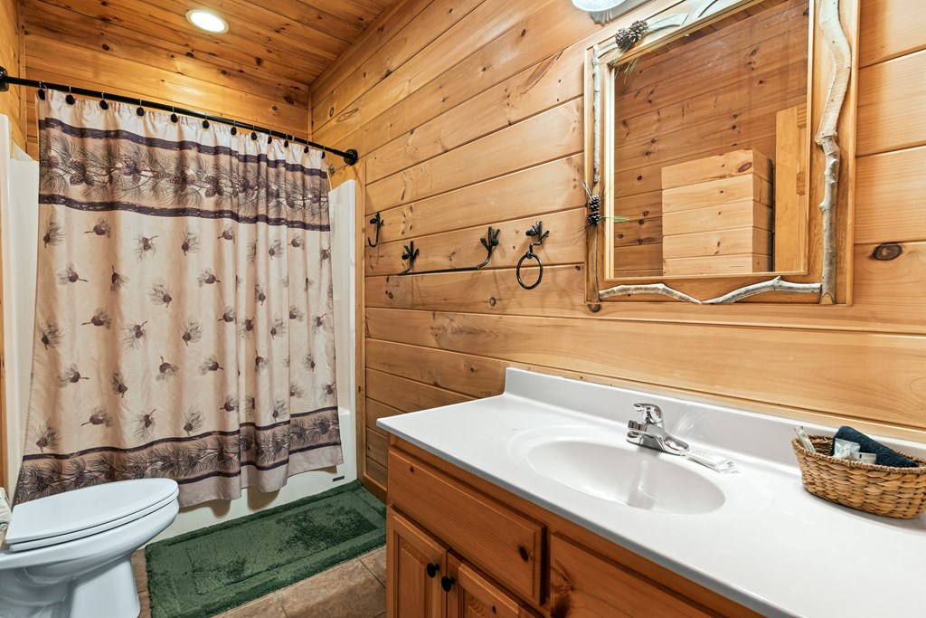 850 Mountain Lake Circle Blue Ridge, GA 30513 - Photo 47 of 66