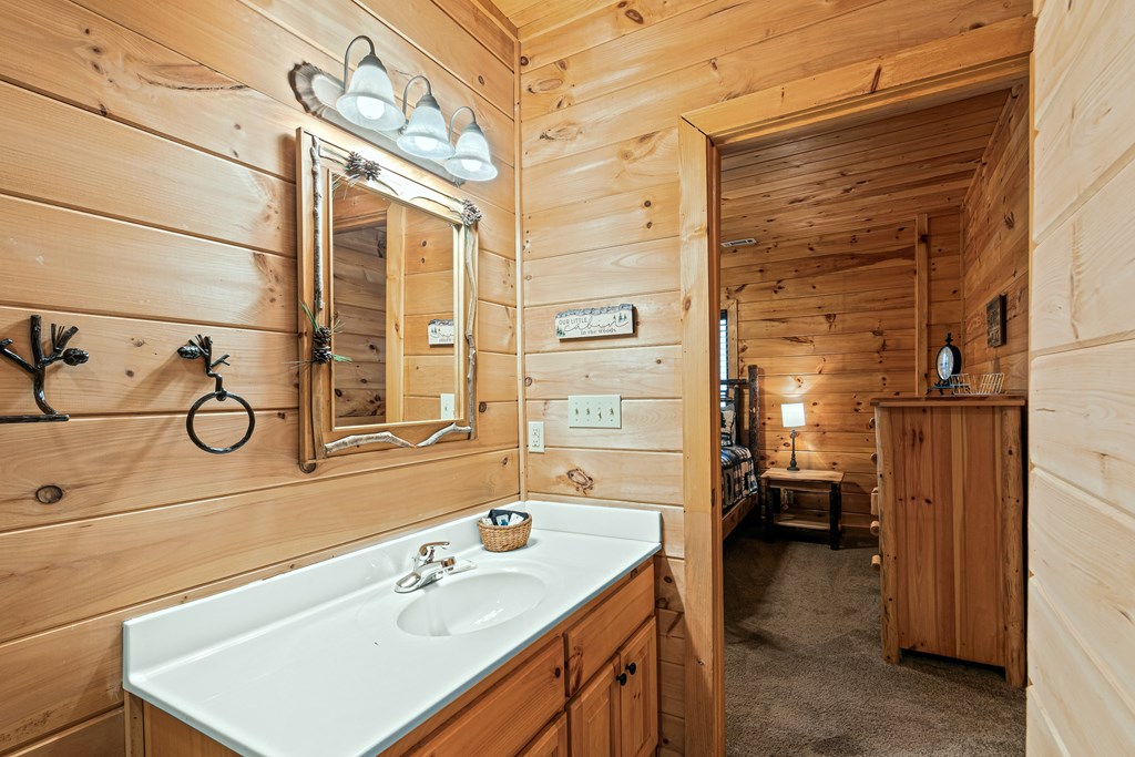 850 Mountain Lake Circle Blue Ridge, GA 30513 - Photo 48 of 66