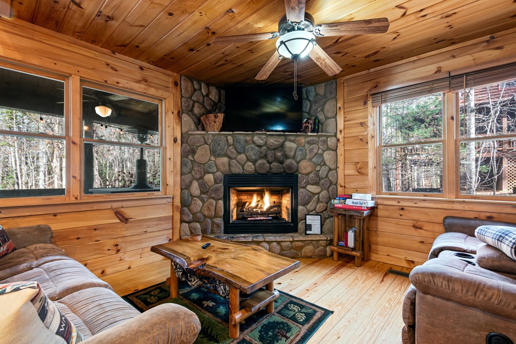 850 Mountain Lake Circle Blue Ridge, GA 30513 - Photo 5 of 66