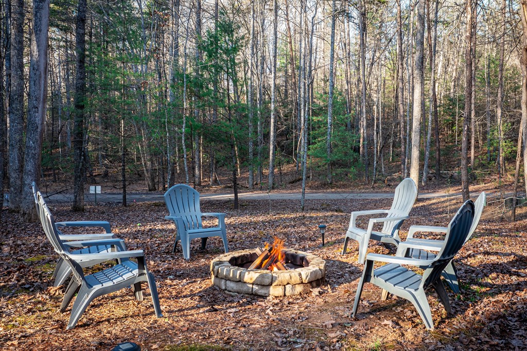 850 Mountain Lake Circle Blue Ridge, GA 30513 - Photo 51 of 66