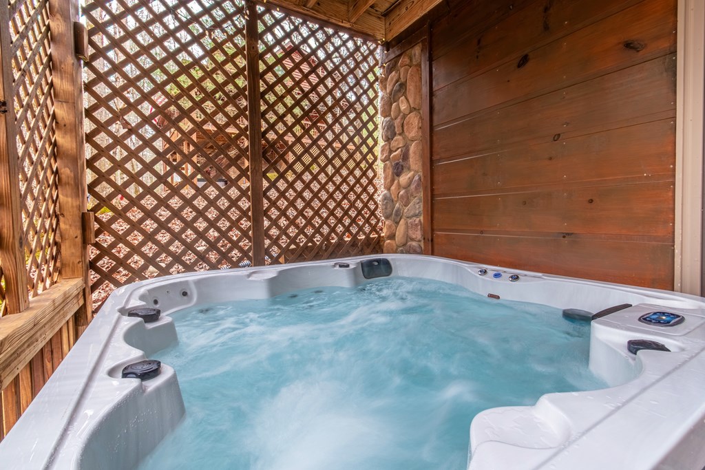 850 Mountain Lake Circle Blue Ridge, GA 30513 - Photo 52 of 66