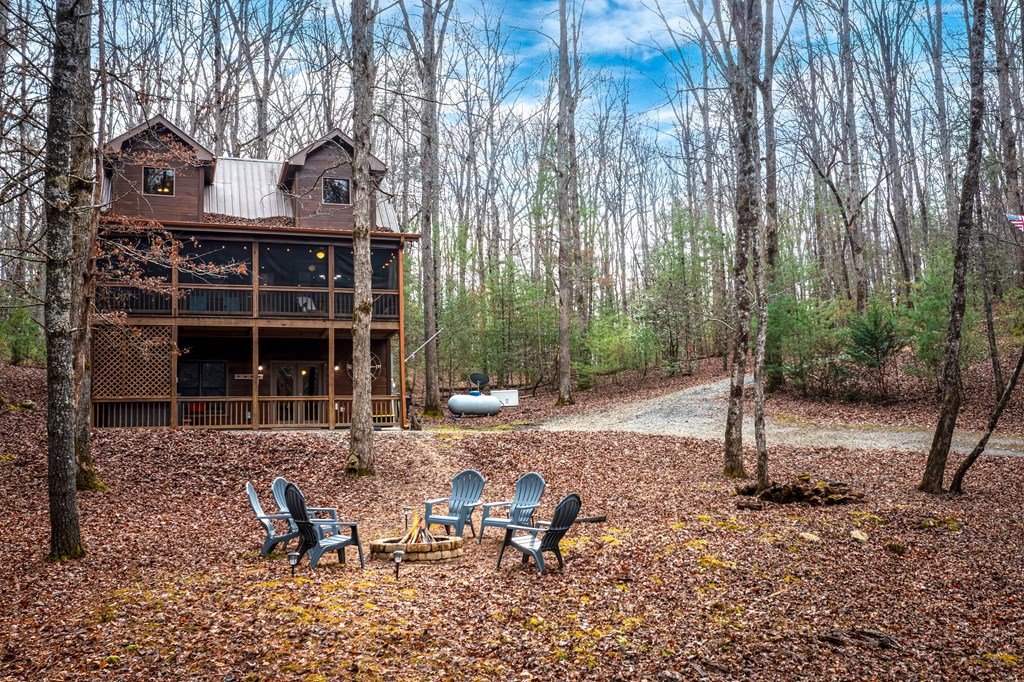 850 Mountain Lake Circle Blue Ridge, GA 30513 - Photo 54 of 66