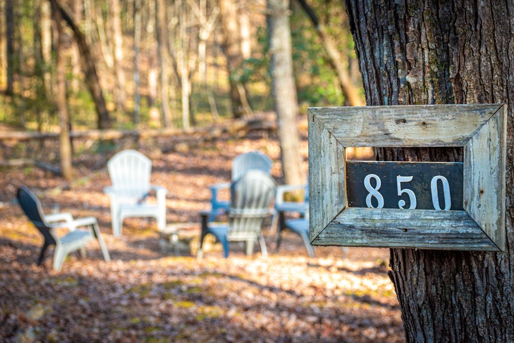 850 Mountain Lake Circle Blue Ridge, GA 30513 - Photo 55 of 66