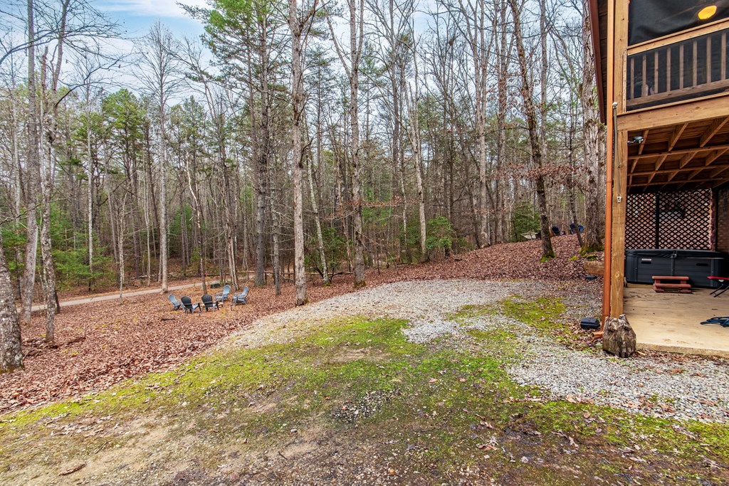 850 Mountain Lake Circle Blue Ridge, GA 30513 - Photo 57 of 66