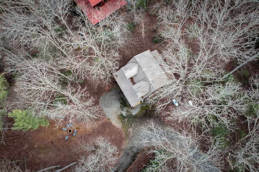 850 Mountain Lake Circle Blue Ridge, GA 30513 - Photo 58 of 66