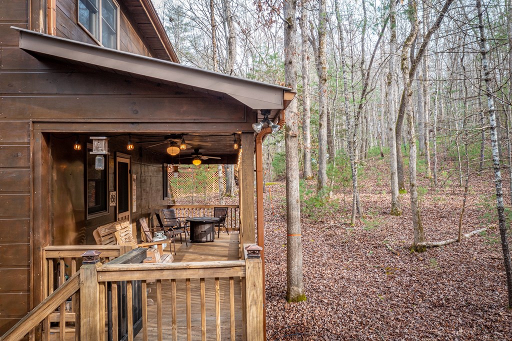 850 Mountain Lake Circle Blue Ridge, GA 30513 - Photo 59 of 66