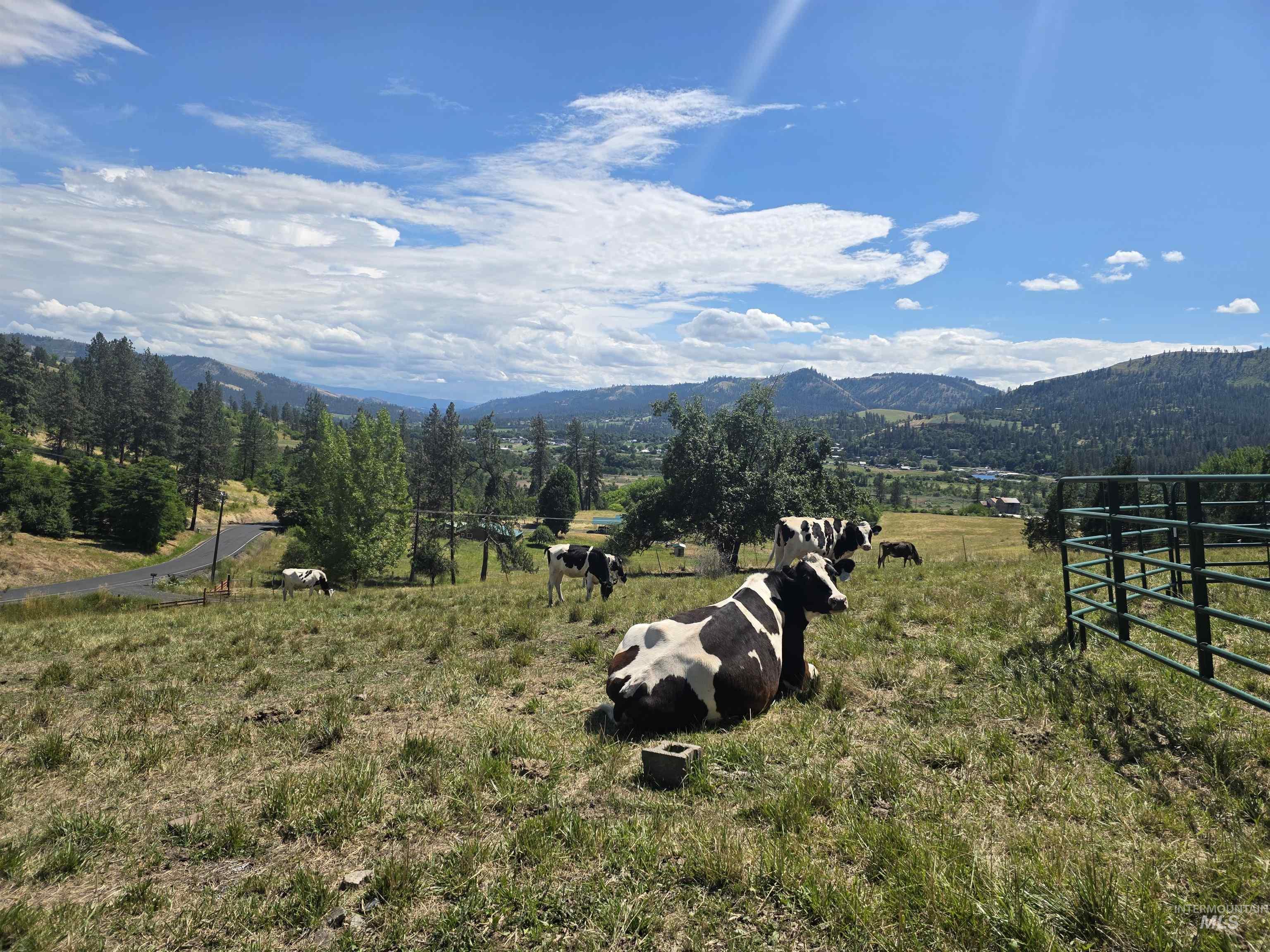 367 Woodland Road Kamiah, ID 83536 - Photo 47 of 49 Expansive grassy terrain with distant mountainous formations, mature evergreen trees, and a paved road