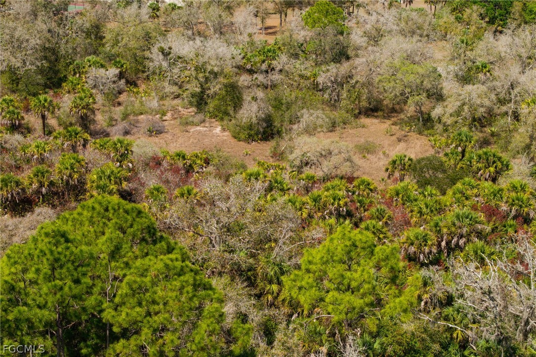 3751 Bateman Road Alva, FL 33920 - Photo 26 of 26