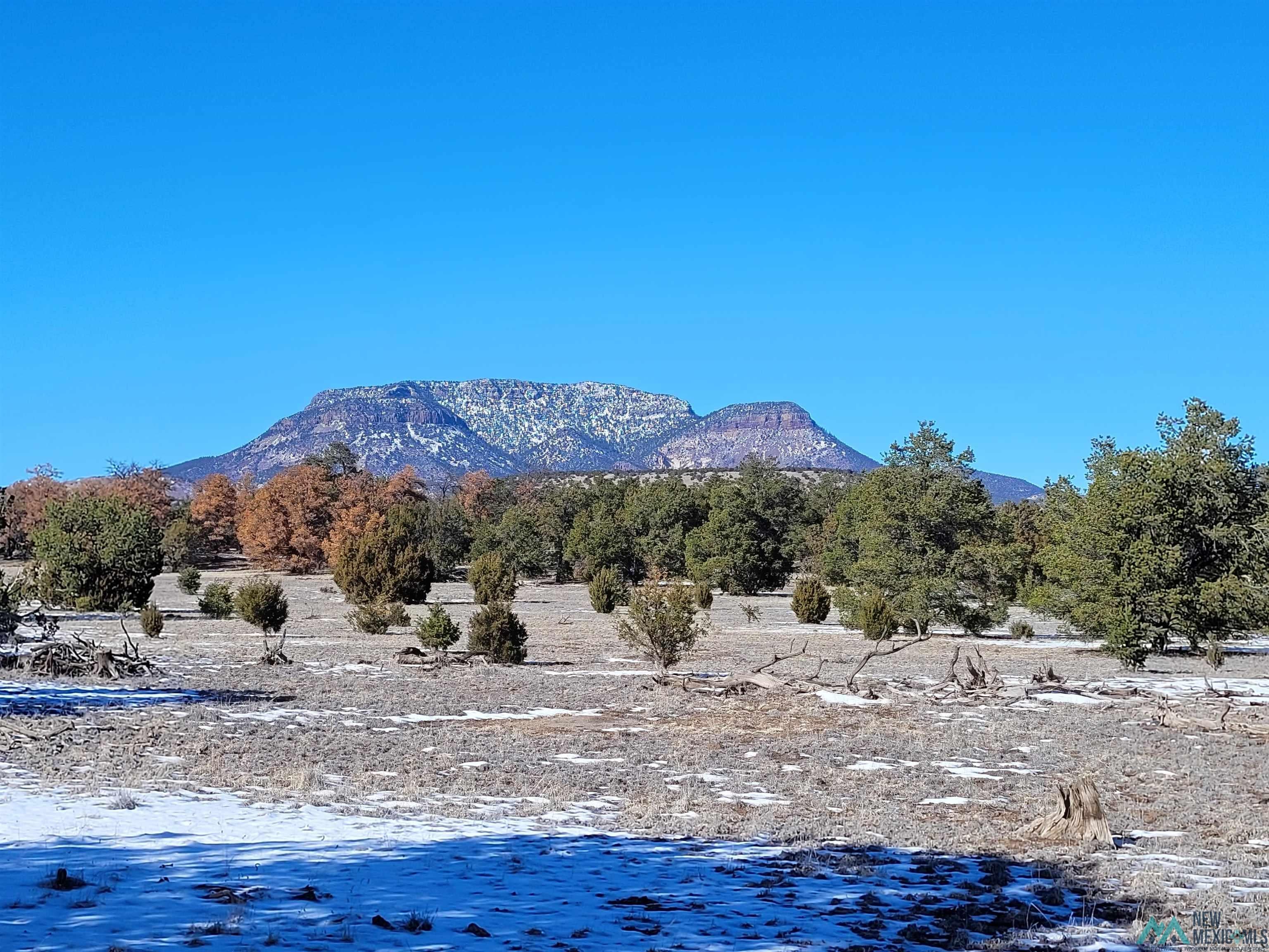 1 Jackass Lane, Unit 1 Datil, NM 87821 - Photo 9 of 46 View of mountain background
