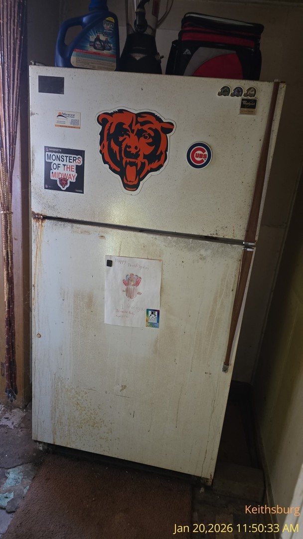 301 South 14th Keithsburg, IL 61442 - Photo 16 of 19