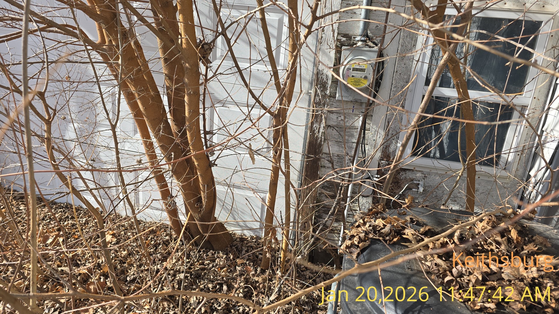 301 South 14th Keithsburg, IL 61442 - Photo 9 of 19