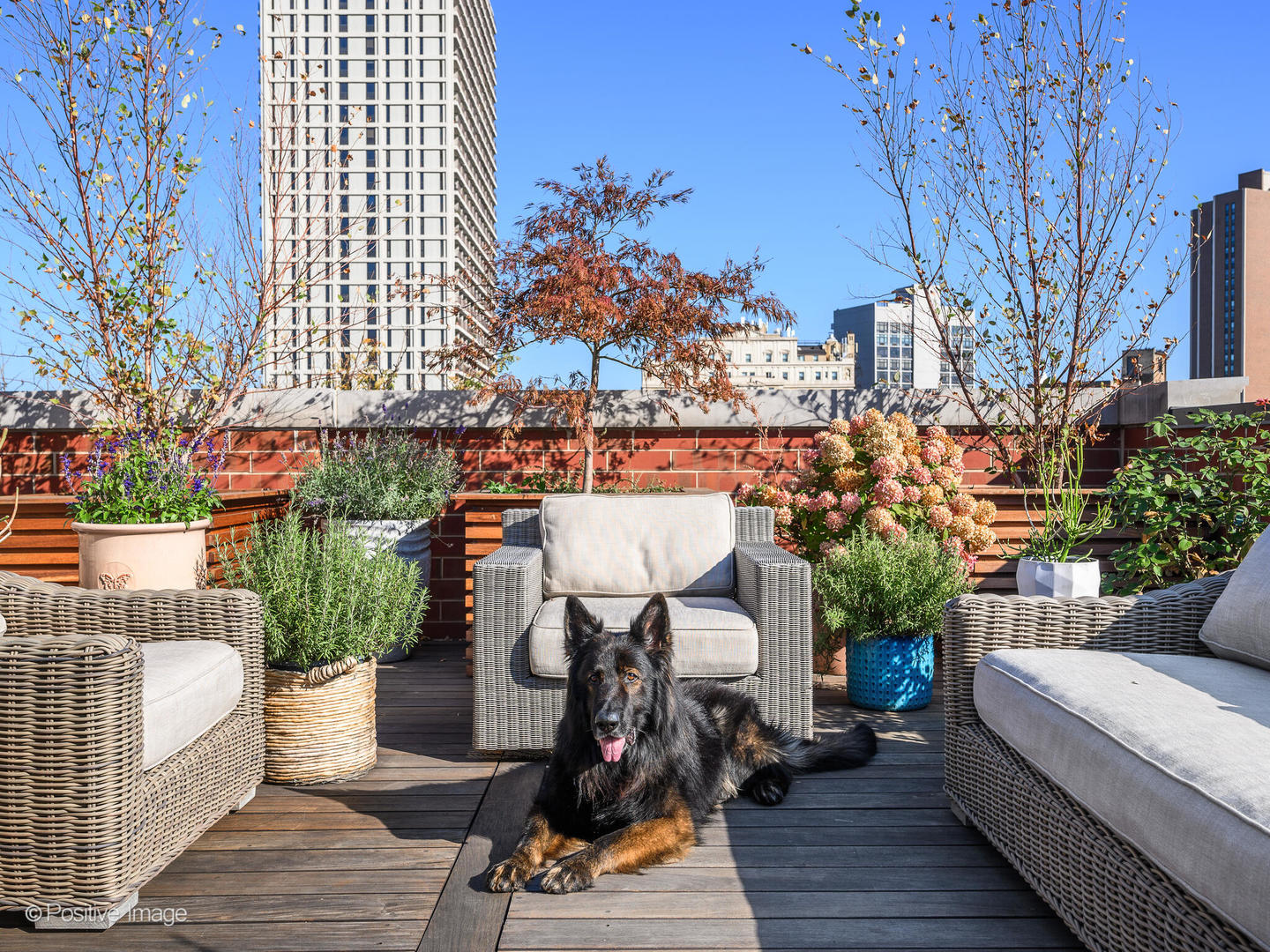 1942 North Sedgwick Street, Unit PH Chicago, IL 60614 - Photo 71 of 84 a view of a balcony with chairs and a potted plant