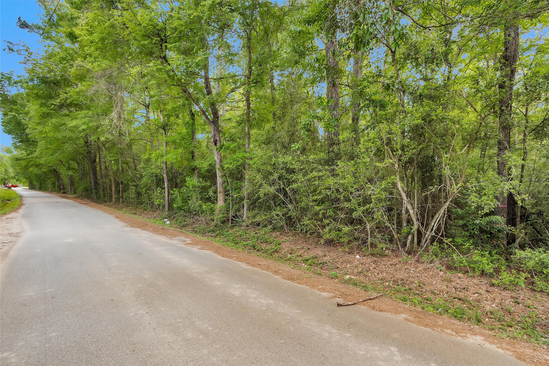 15672 Ben Wiggins Road Conroe, TX 77303 - Photo 3 of 7