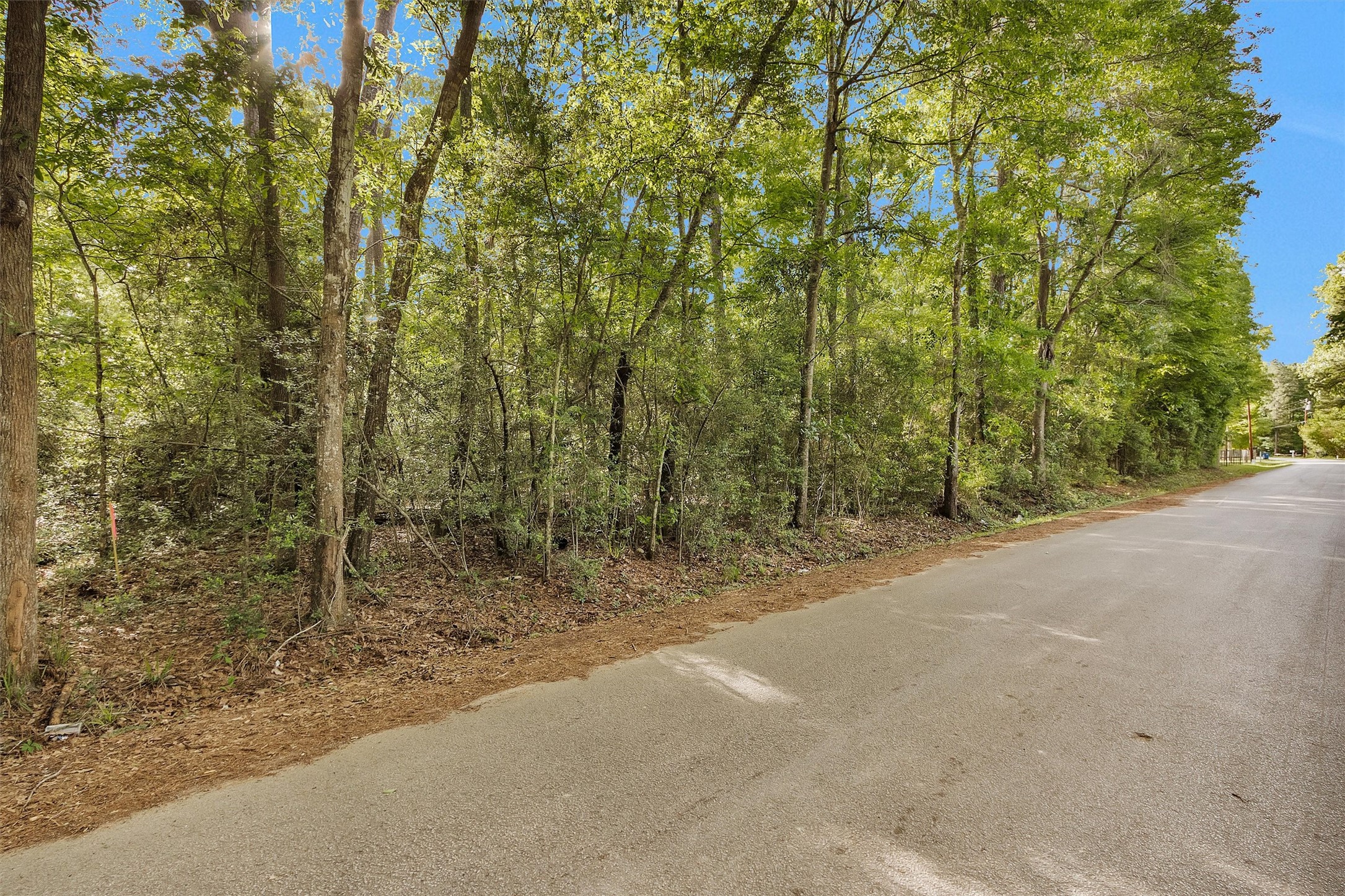 15672 Ben Wiggins Road Conroe, TX 77303 - Photo 4 of 7