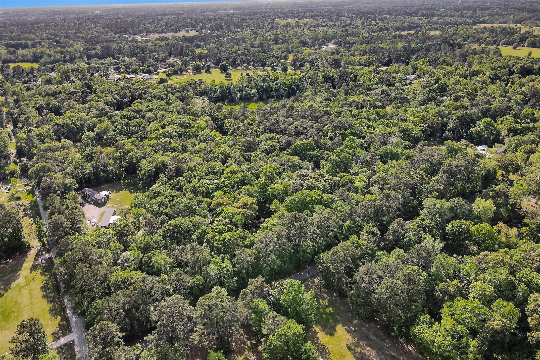 15672 Ben Wiggins Road Conroe, TX 77303 - Photo 5 of 7