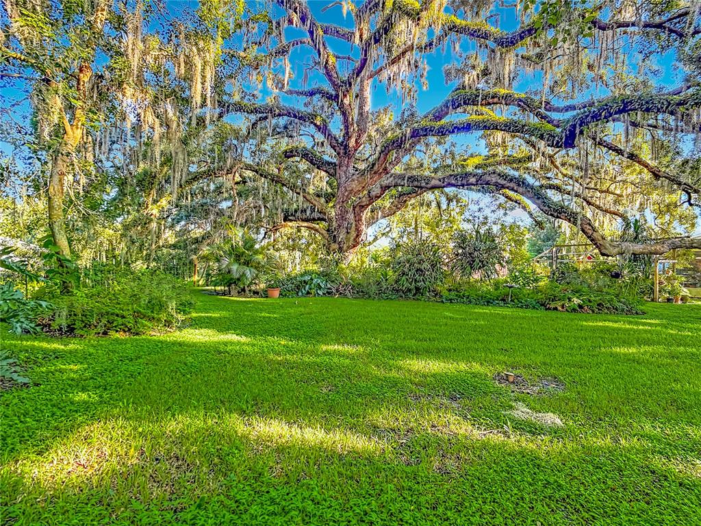 2320 Bogaert Road Seffner, FL 33584 - Photo 51 of 69 Gallery Image 51