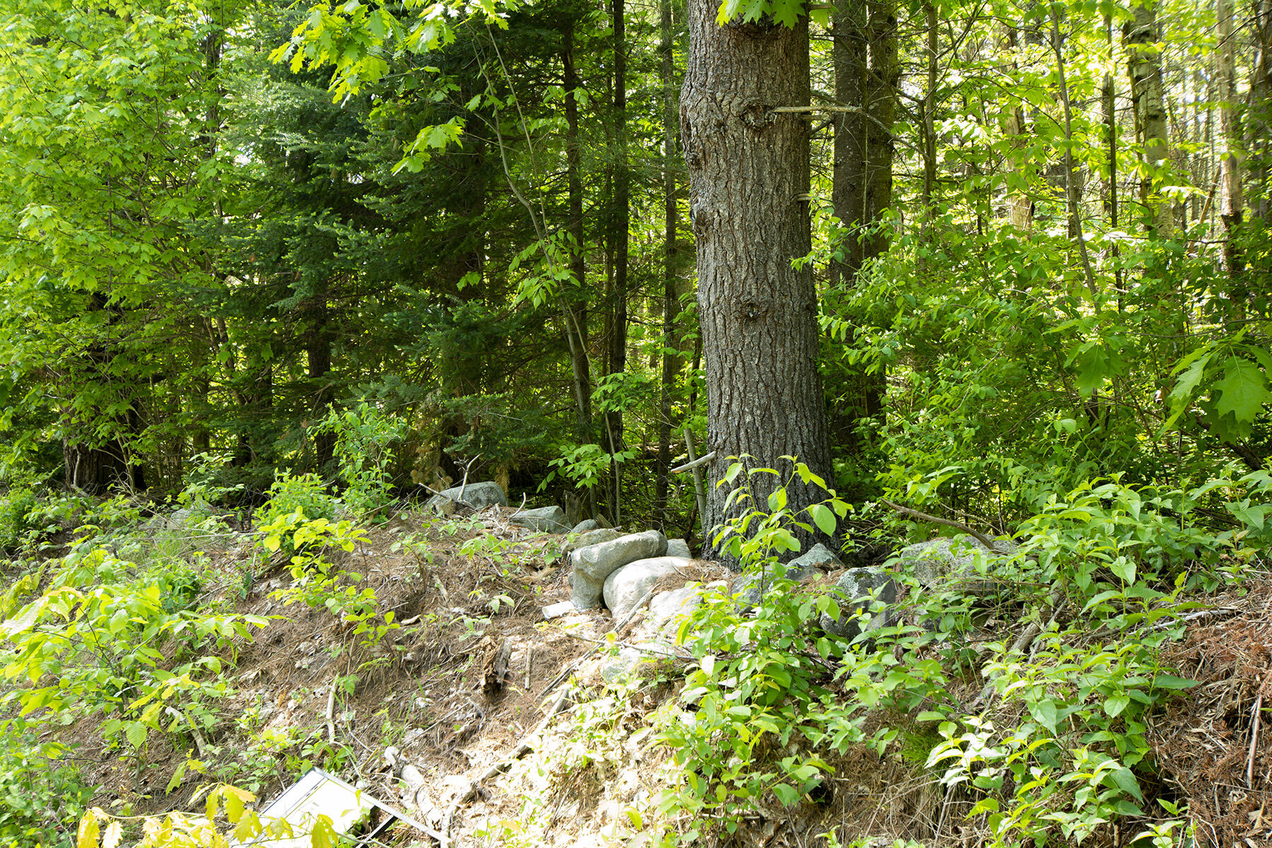 Lot 1 Plummer Road Richmond, ME 04357 - Photo 5 of 16 Rockwall along Road