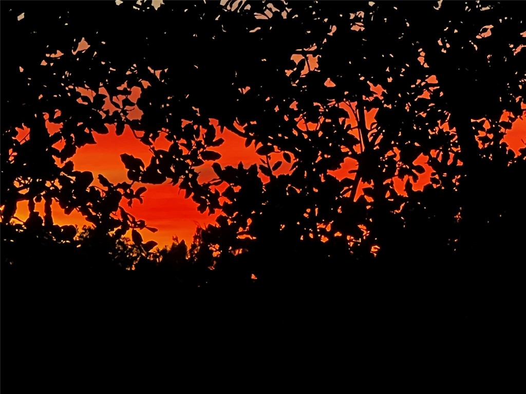 13326 Trautwein Road Austin, TX 78737 - Photo 37 of 40 View of nature at dusk