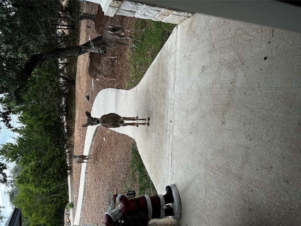 13326 Trautwein Road Austin, TX 78737 - Photo 7 of 40 View of patio / terrace