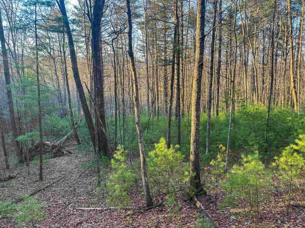 $159,000 | 4358 Deerfield Valley Road, Deerfield, VA 24432