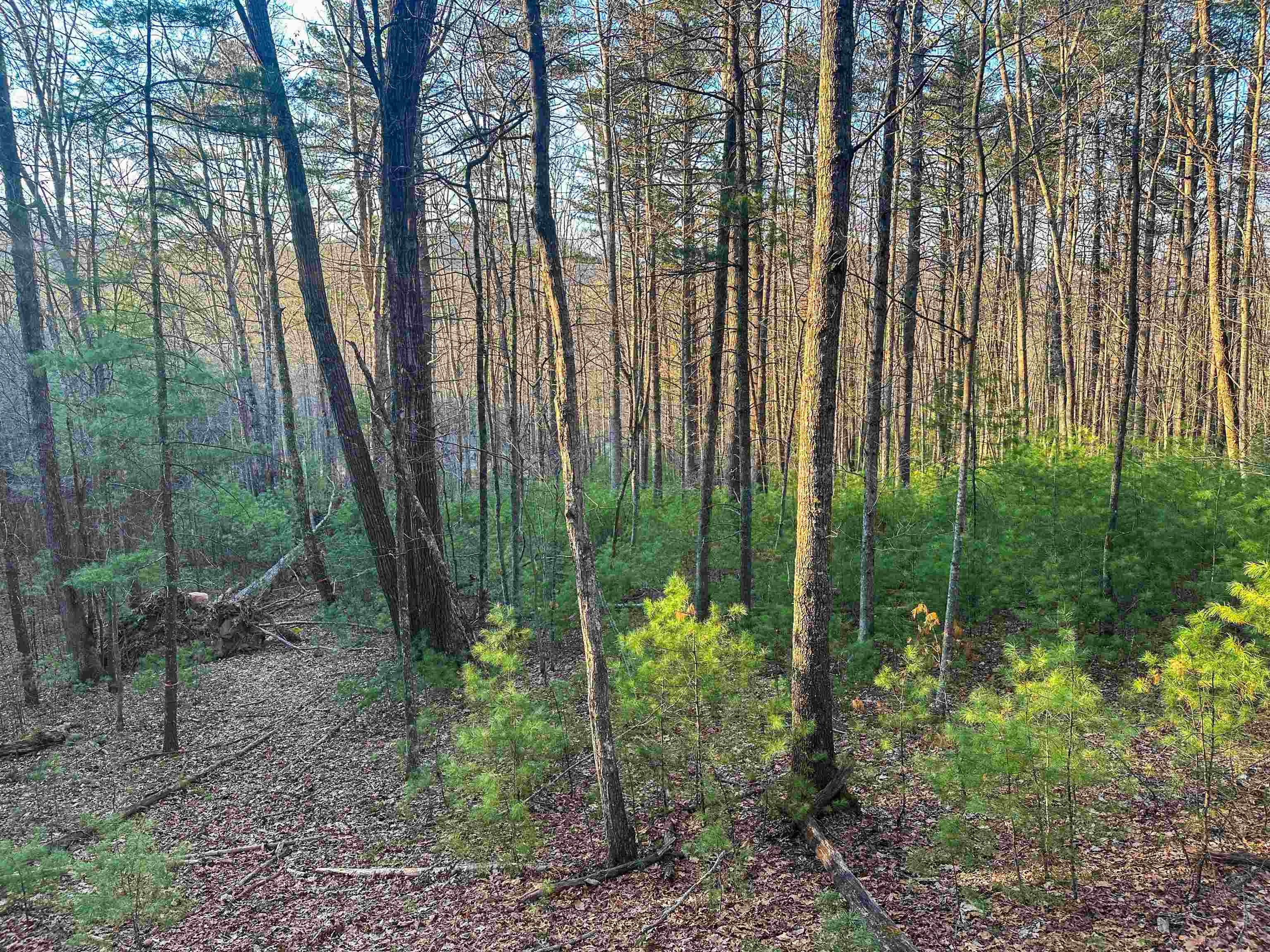 4358 Deerfield Valley Road Deerfield, VA 24432 - Photo 13 of 28