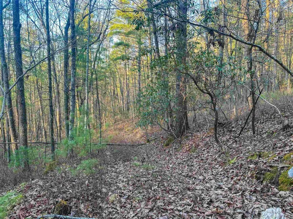 $159,000 | 4358 Deerfield Valley Road, Deerfield, VA 24432