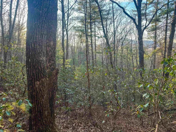 $159,000 | 4358 Deerfield Valley Road, Deerfield, VA 24432