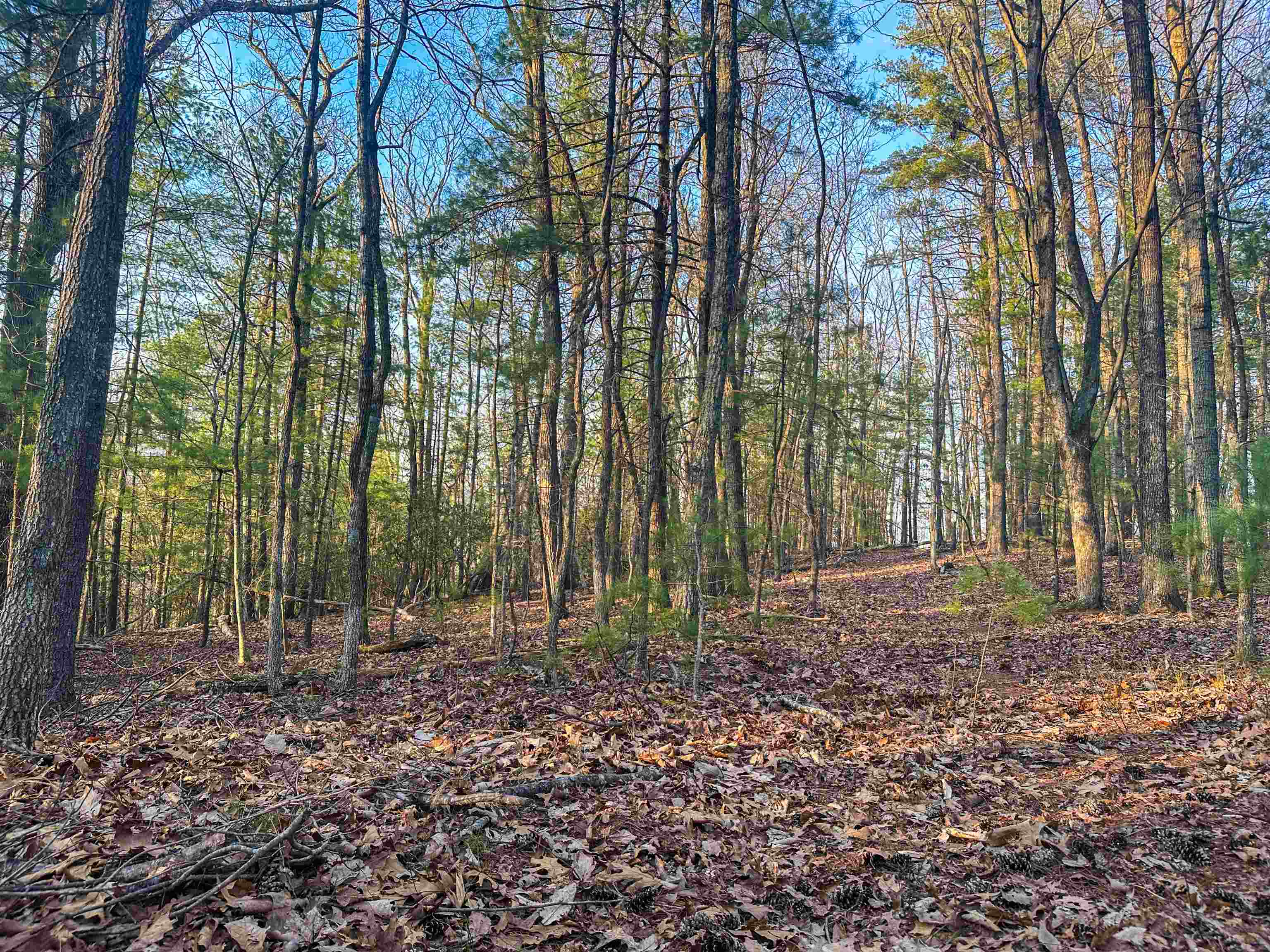 4358 Deerfield Valley Road Deerfield, VA 24432 - Photo 18 of 28