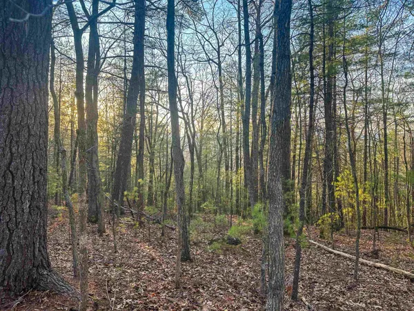 $159,000 | 4358 Deerfield Valley Road, Deerfield, VA 24432