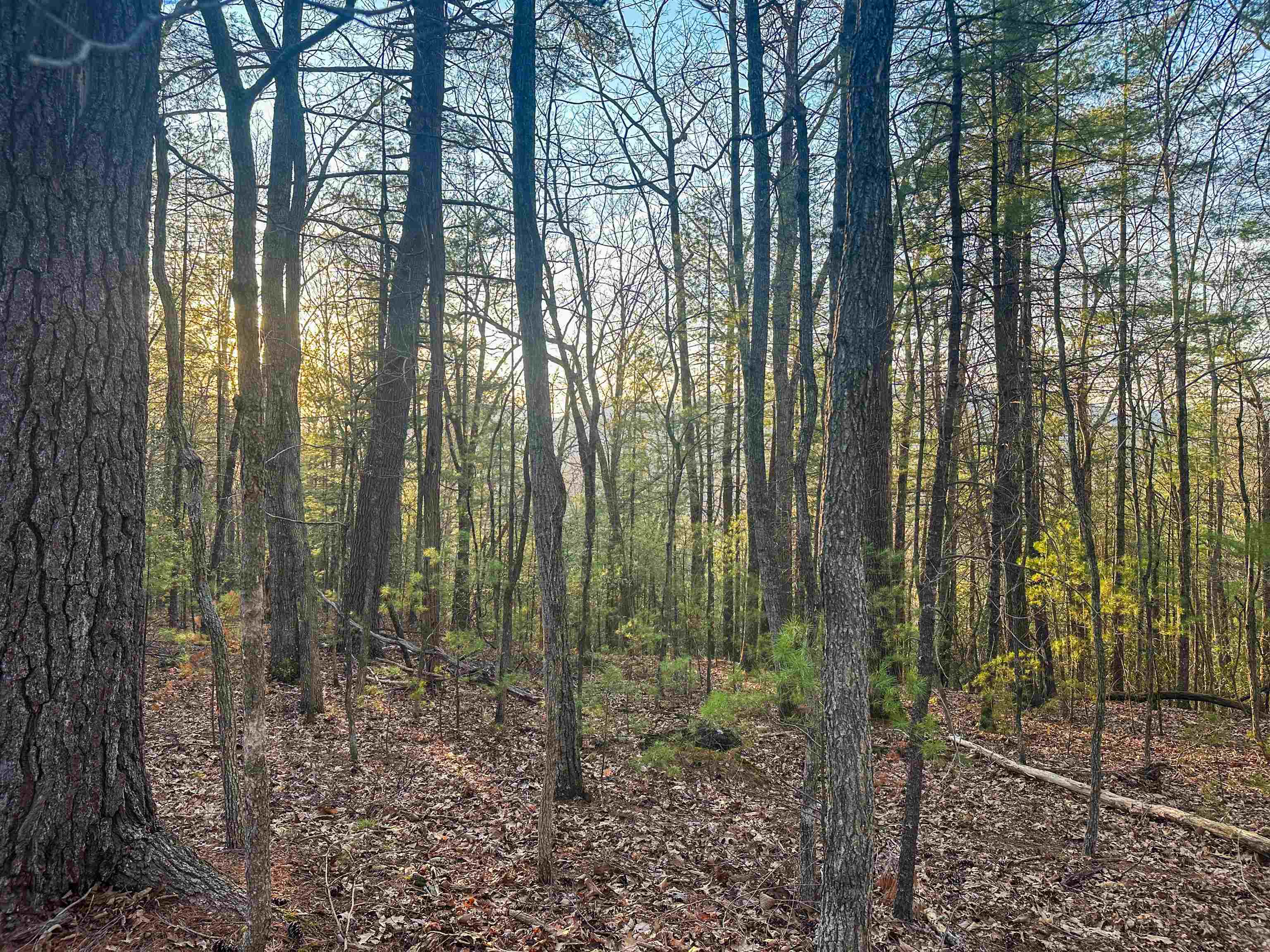 4358 Deerfield Valley Road Deerfield, VA 24432 - Photo 20 of 28