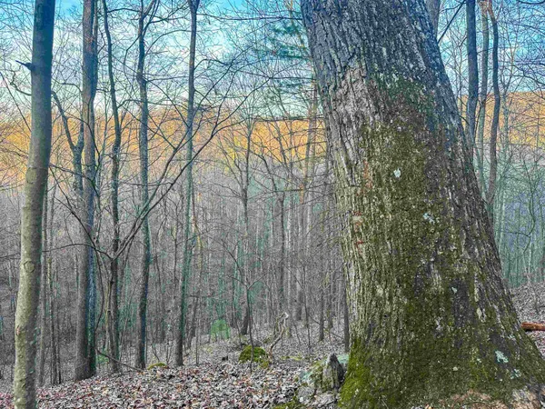 $159,000 | 4358 Deerfield Valley Road, Deerfield, VA 24432