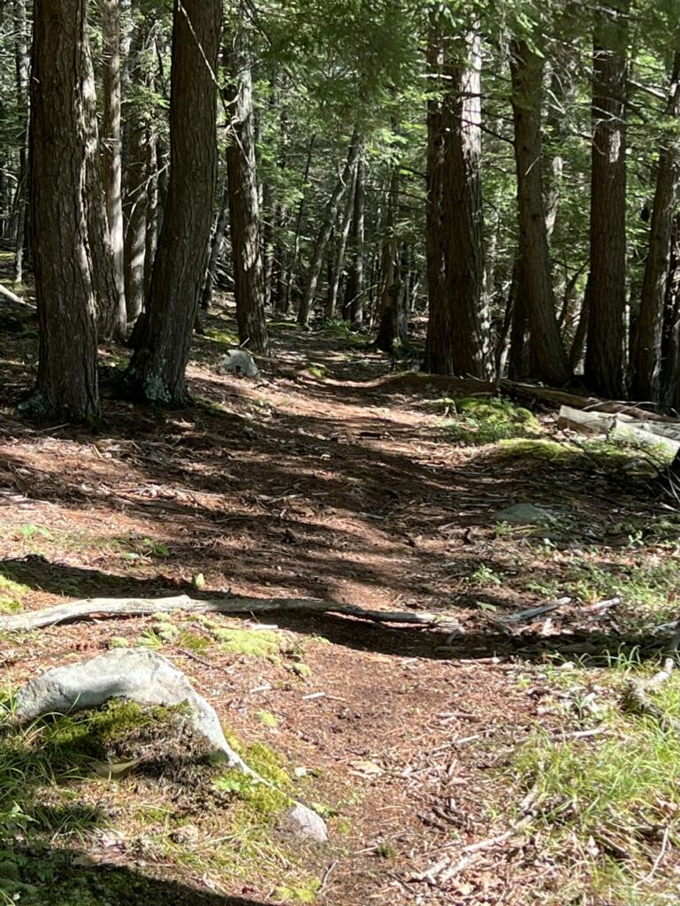 37 Lords Way Windham, ME 04062 - Photo 94 of 97 AF4ADE53-1D46-4D81-8514-5C08B74BEDC1_1_1