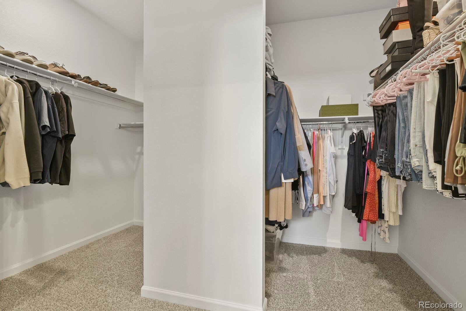 3055 Blithe Point Castle Rock, CO 80108 - Photo 28 of 50